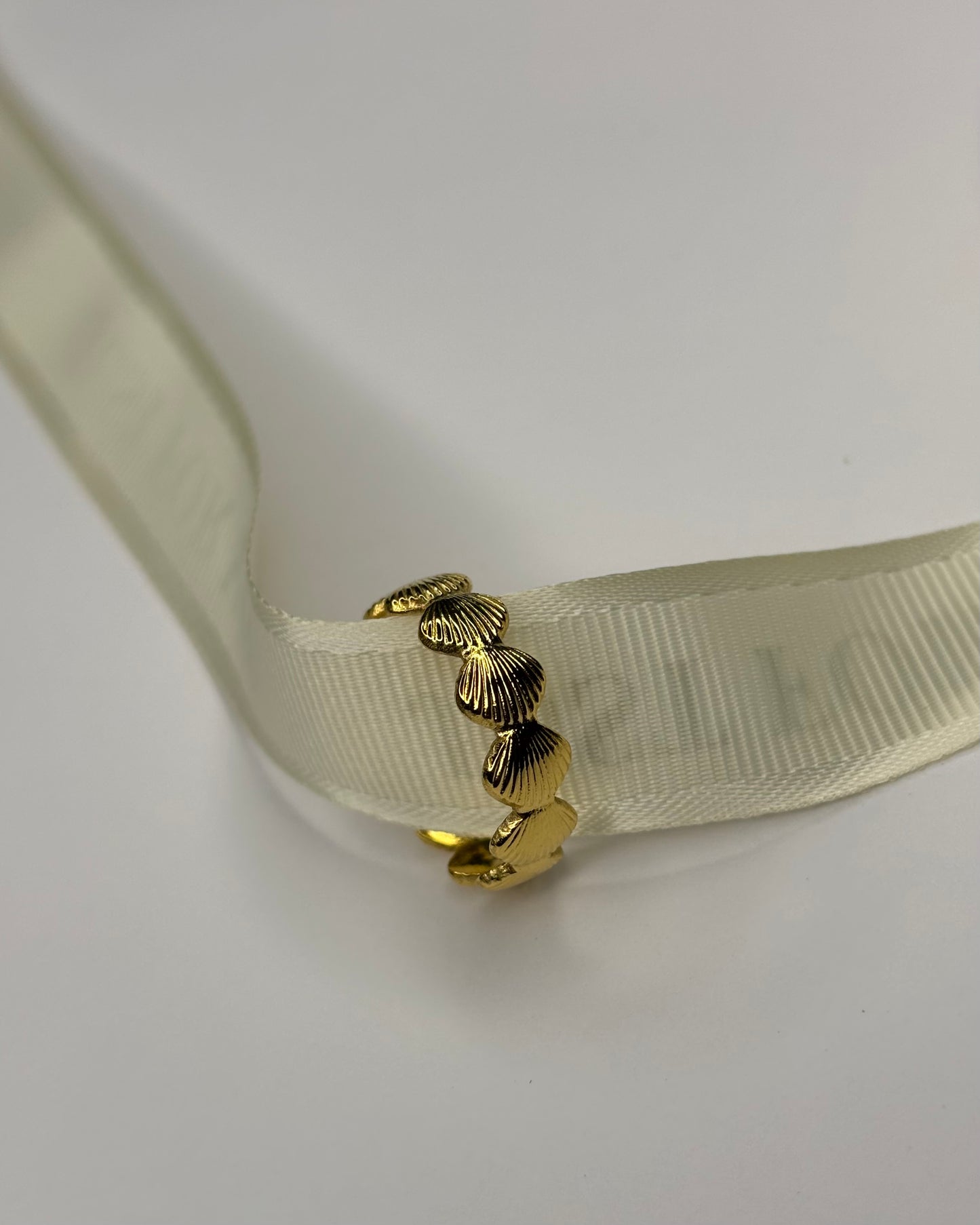 Shell Ring.