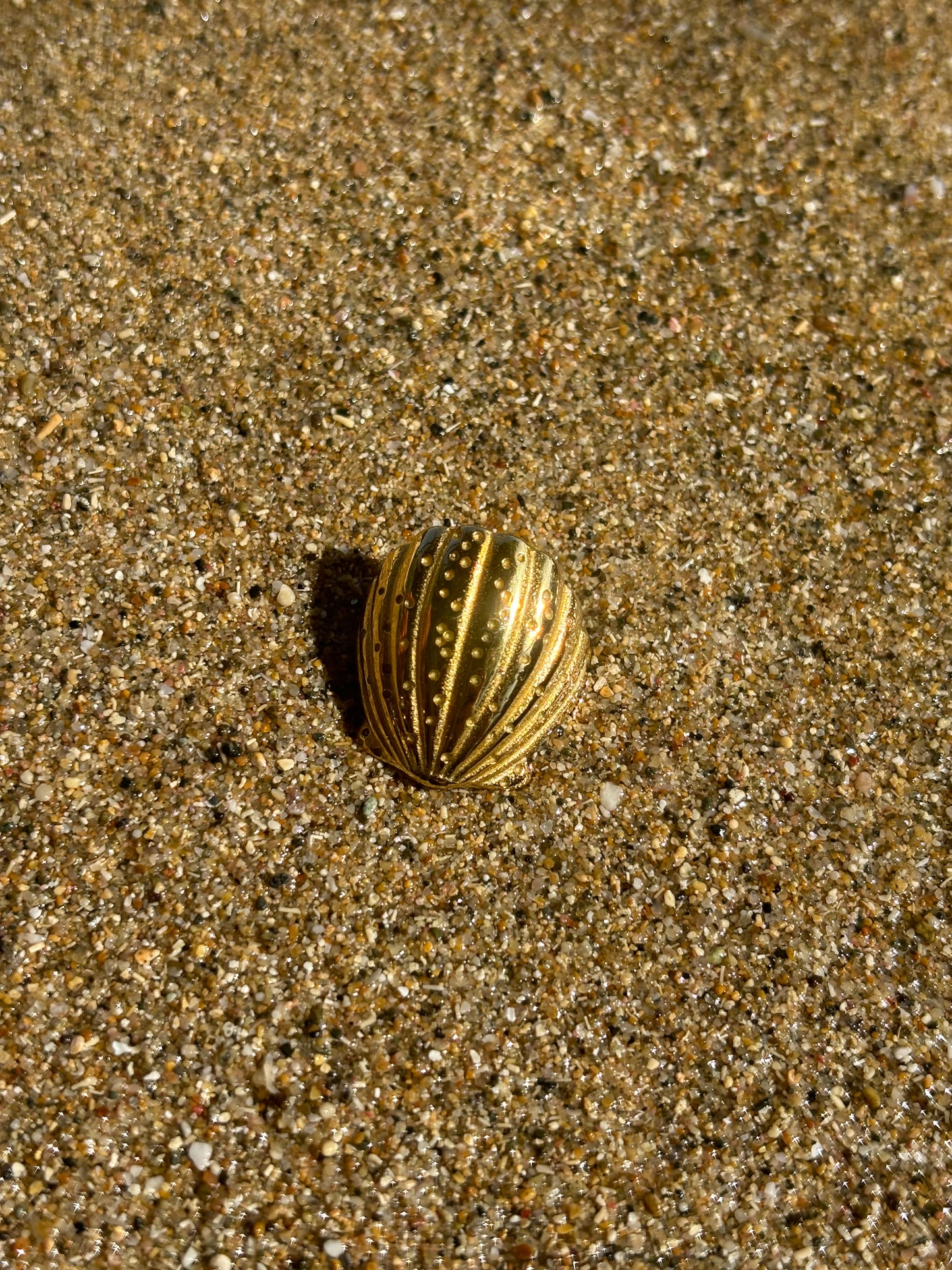 Merliah Ring.
