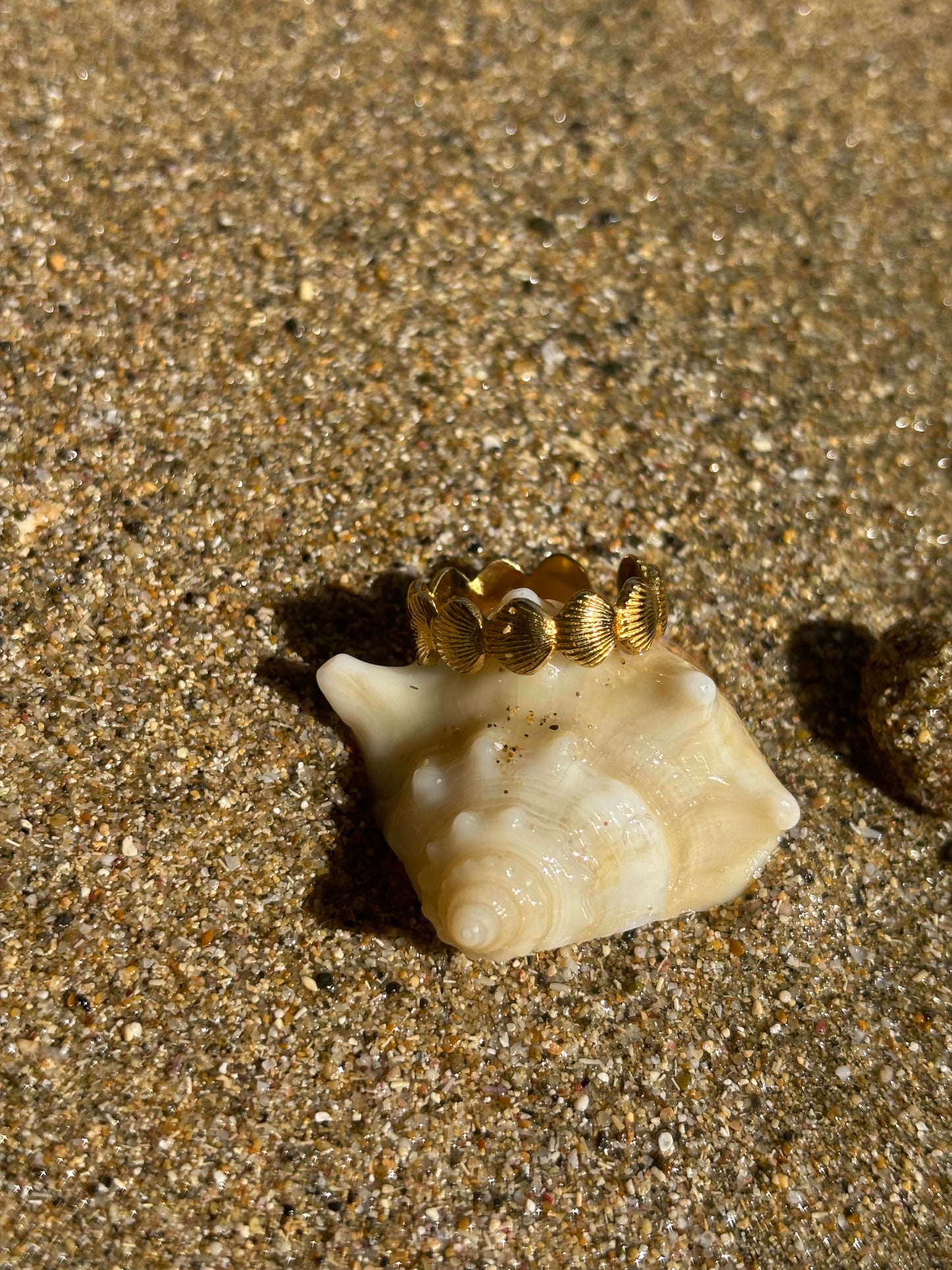 Shell Ring.