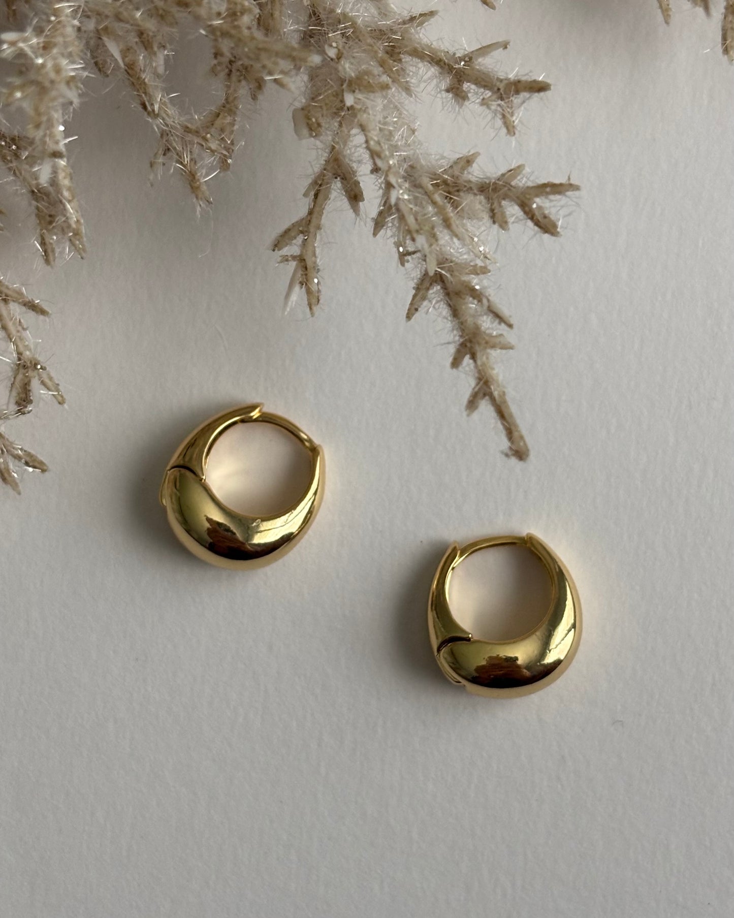 Venecia Hoops